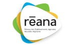 01reana-8980e006